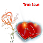 True Love icône