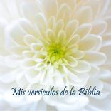 Mis versiculos de la Biblia