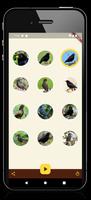 Blackbird Sounds স্ক্রিনশট 1