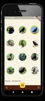 Blackbird Sounds স্ক্রিনশট 2