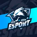 Esport Logo