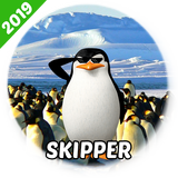 Pinguino Skipper Sonidos icône