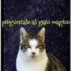 pregúntale al gato mágico de la fortuna icon