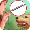 Dog Whistle