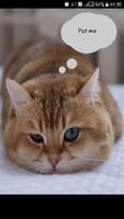 Purring cat - antistress game plakat