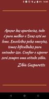 Frases de Zíbia Gasparetto स्क्रीनशॉट 1