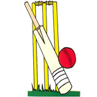 i love Cricket Sticker maker icône