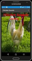 Sons de poulet Affiche