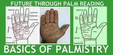 Palmistry in English