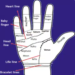 Скачать Palmistry in English APK