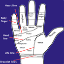Palmistry in English APK