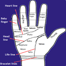 Palmistry in English aplikacja