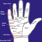 Palmistry biểu tượng