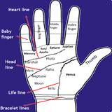 Palmistry icon