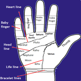 Palmistry icône