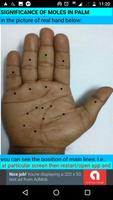 Palmistry ảnh chụp màn hình 3