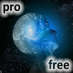 Подпольное исламское терапевтическое сообщение Pro