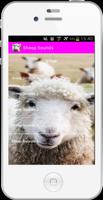 Moutons capture d'écran 2