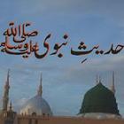 Hadees أيقونة