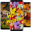 Autumn Leaves HD Wallpapers APK