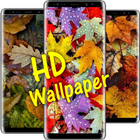 Autumn Leaves HD Wallpapers icon