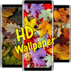 Autumn Leaves HD Wallpapers icône
