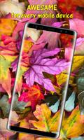 Autumn Leaves HD Wallpapers screenshot 2