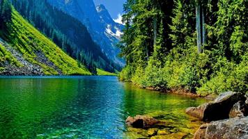 3D Nature Sounds ảnh chụp màn hình 2