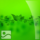 Green Wallpaper for Mobile APK