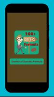 200+ Secrets of Success Free book Affiche