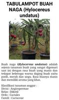 Tabulampot screenshot 1