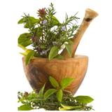Obat Herbal Tradisional icône