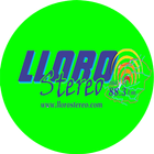 Lloro Stereo-icoon