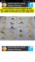 बाळगुटी एप्प [Balguti Ayurvedik Upchar App] Screenshot 1