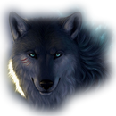 Camigliatello Silano APK