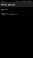 Private Browser screenshot 2