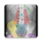 Abdominal X-Rays For Medical Students ícone