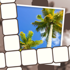 Picture Perfect Crossword ไอคอน