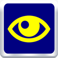 Low Vision