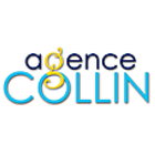 Agence Collin icône