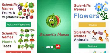 Scientific Names - All