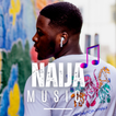 Naija Music