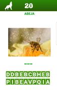 Aprende Ingles Jugando gratis- screenshot 1