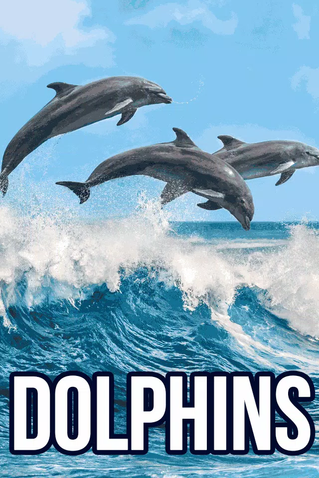 Download do APK de Imagenes de Delfines en Movimiento 3D y Frases para Android Download do APK de Imagenes de Delfines en Movimiento 3D y Frases para Android