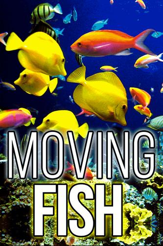 Android İndirme için Imagenes de Peces en Movimiento Gratis Acuario APK Android İndirme için Imagenes de Peces en Movimiento Gratis Acuario APK