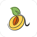 APK 友杏