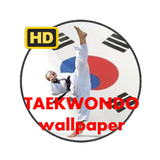 TAEKWONDO WALLPAPER