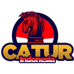 Catur Chess Indonesia