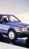 Themes Mercedes Benz 300 screenshot 2