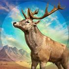 Deer Hunting Games 2020! Wild  icon